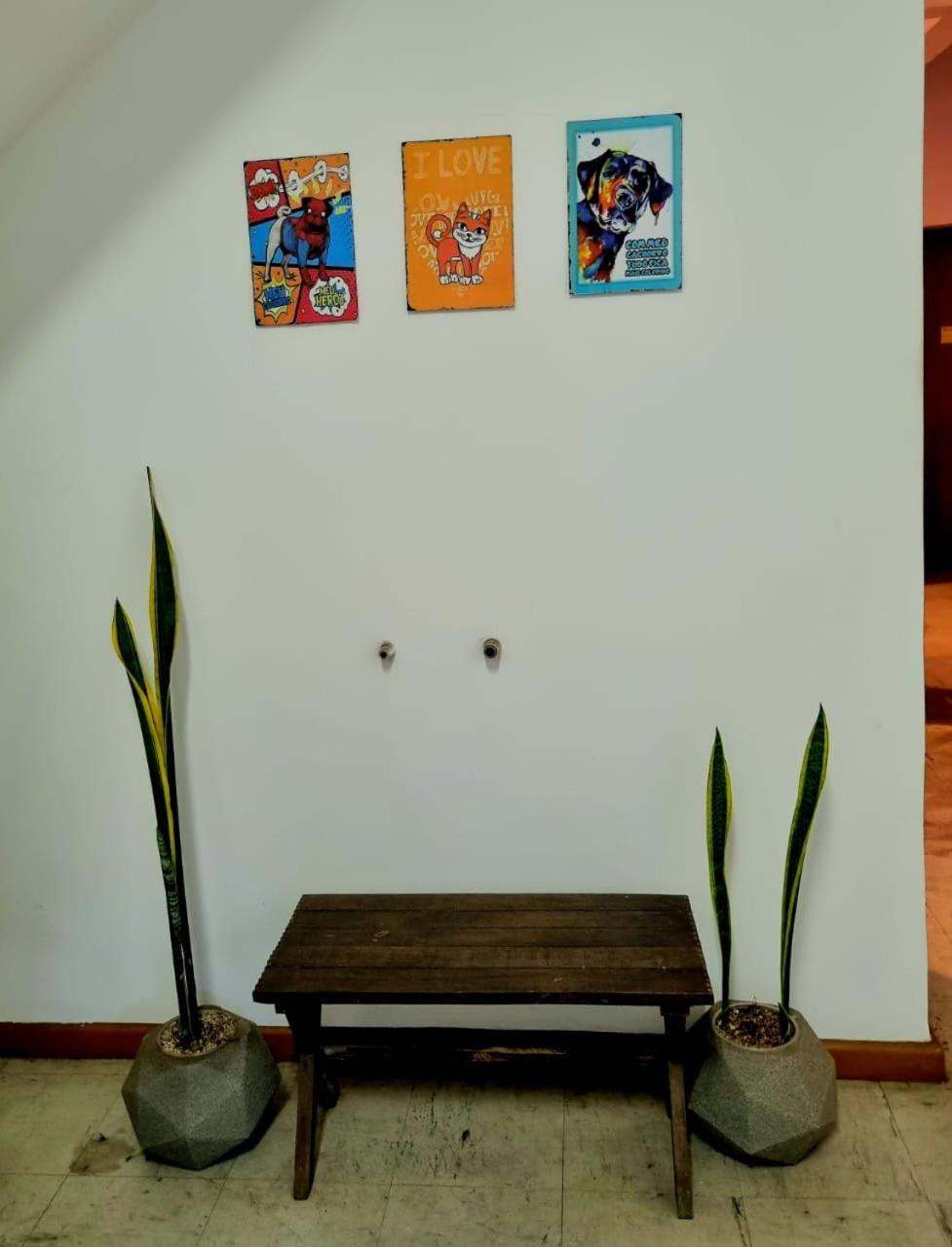 Cool Living Hostel - Praca Da Liberdade 벨루오리존치 외부 사진